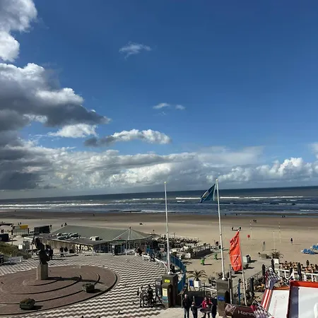 Nicky's Seaview דירה *